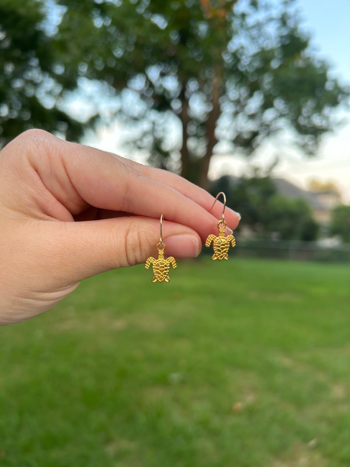 🐢✨Gold turtle earrings ✨🐢