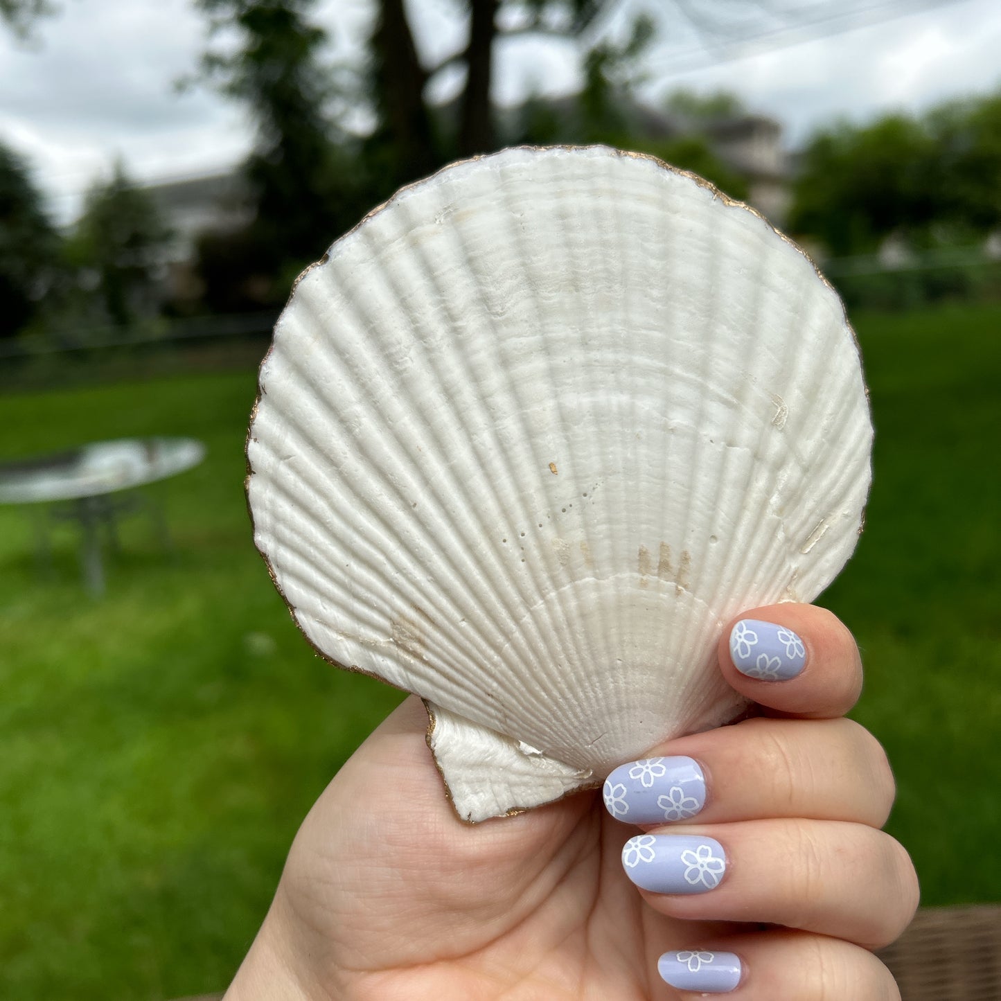 🌈Rainbow seashell tray🌈