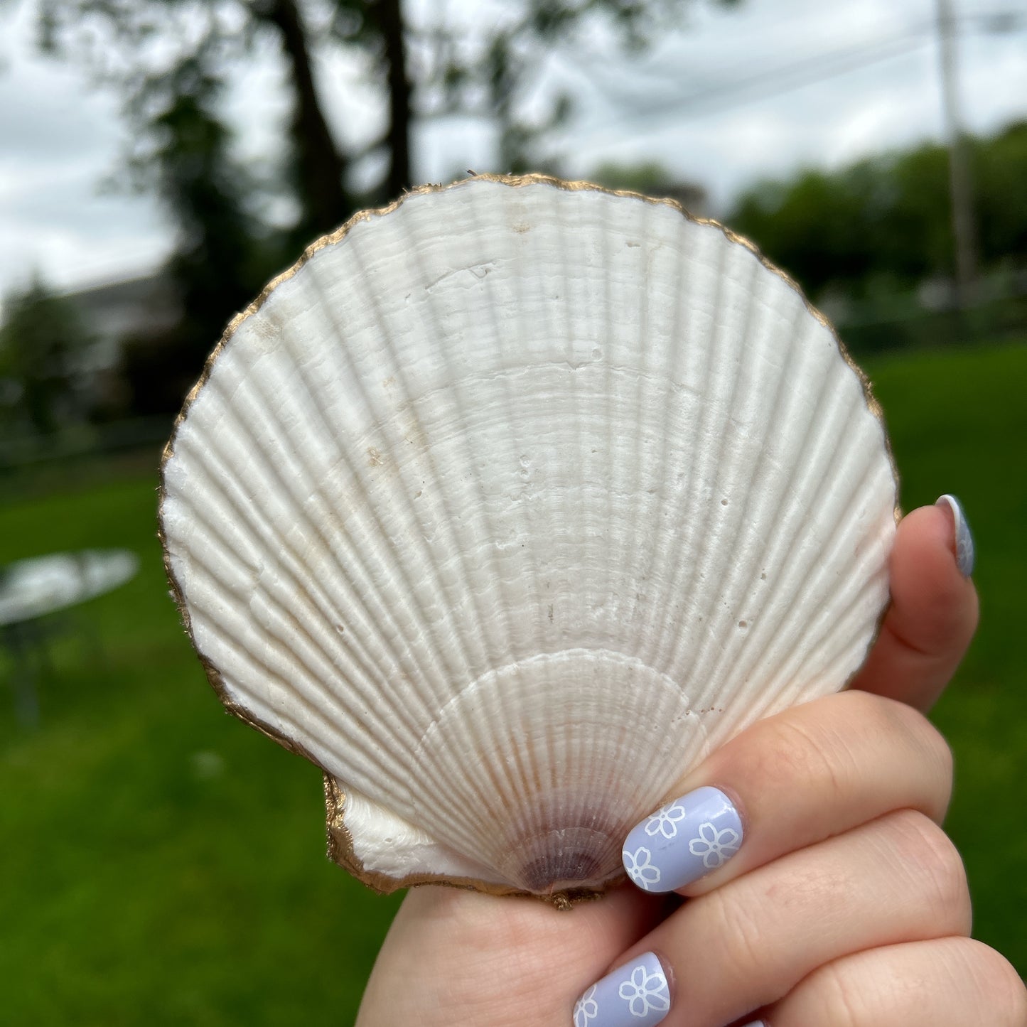 🍊Orange seashell tray🍊