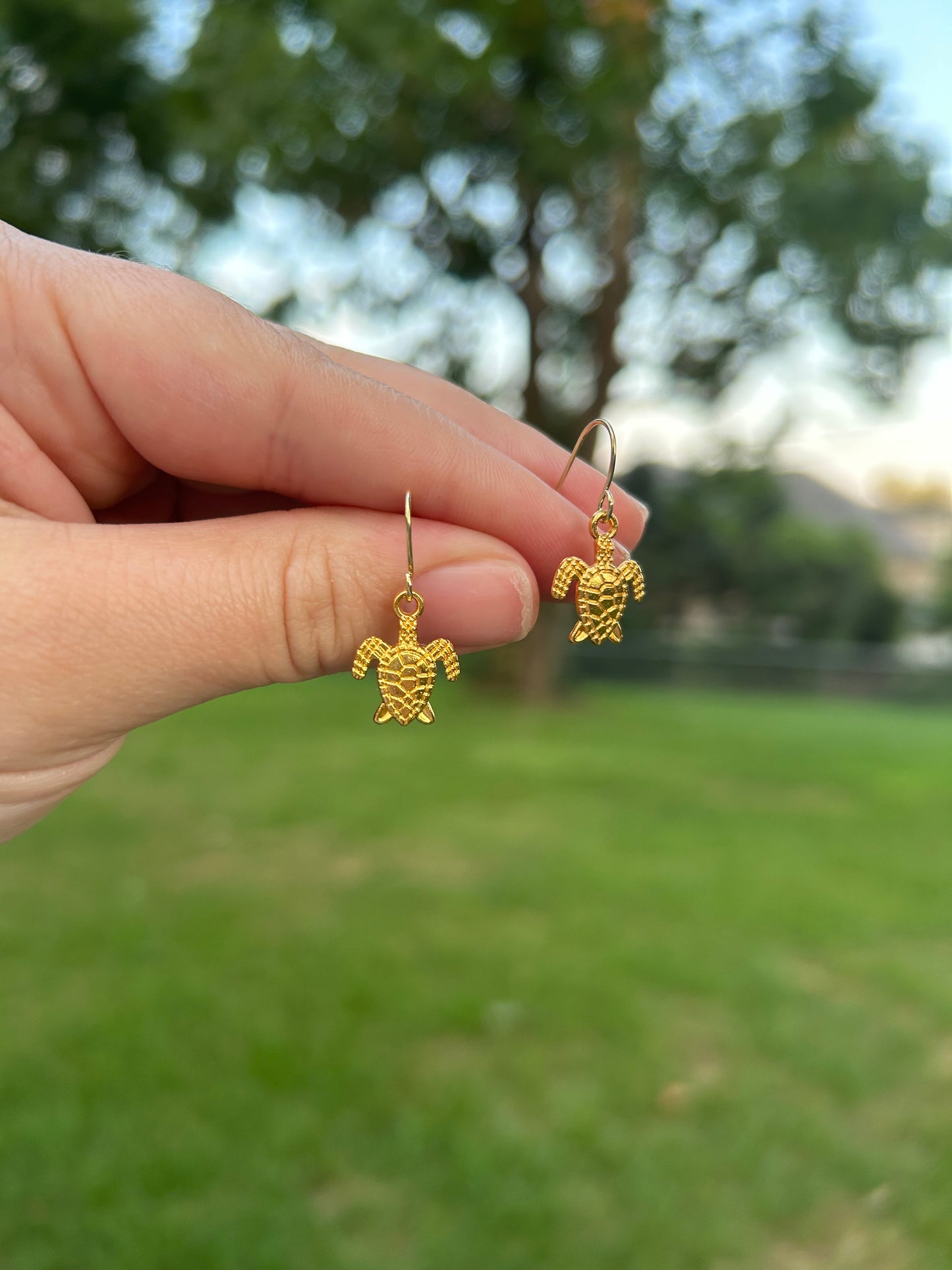 🐢✨Gold turtle earrings ✨🐢