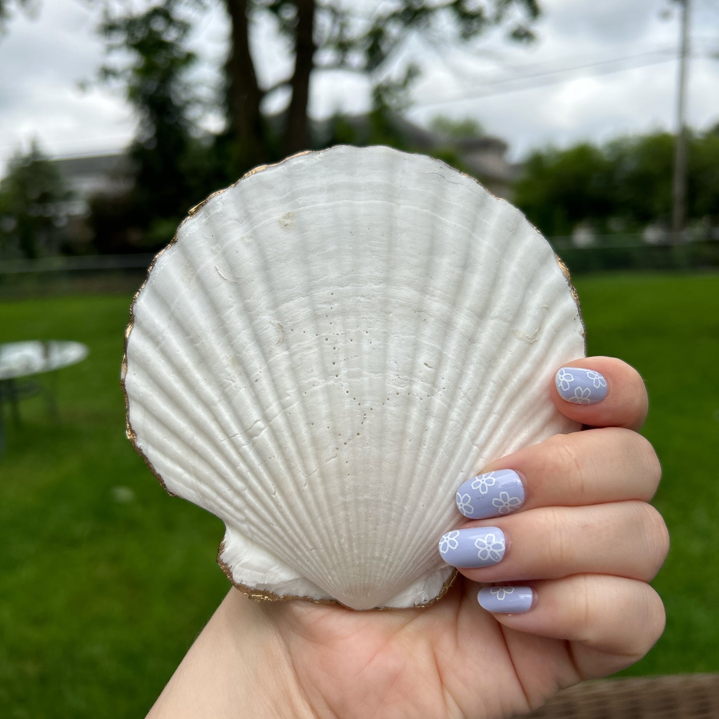 🍋🍋‍🟩Lemon lime seashell tray🍋‍🟩🍋