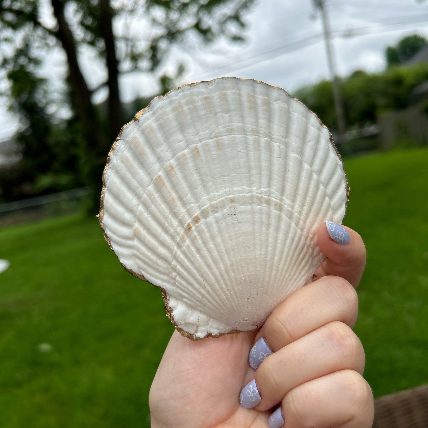 🌸Flower party seashell tray🌸